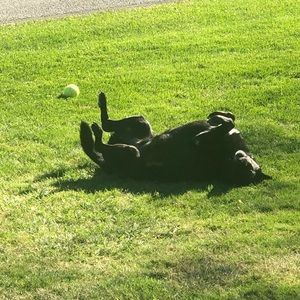 Meet your Posher, Lonnie